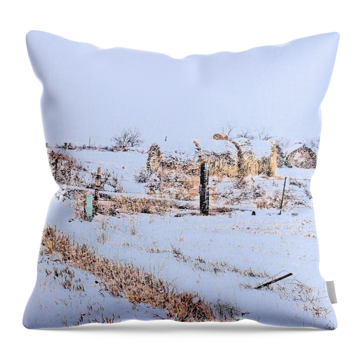 Landscape Throw Pillow featuring the photograph Haybales in the Snow by Scott Carlton