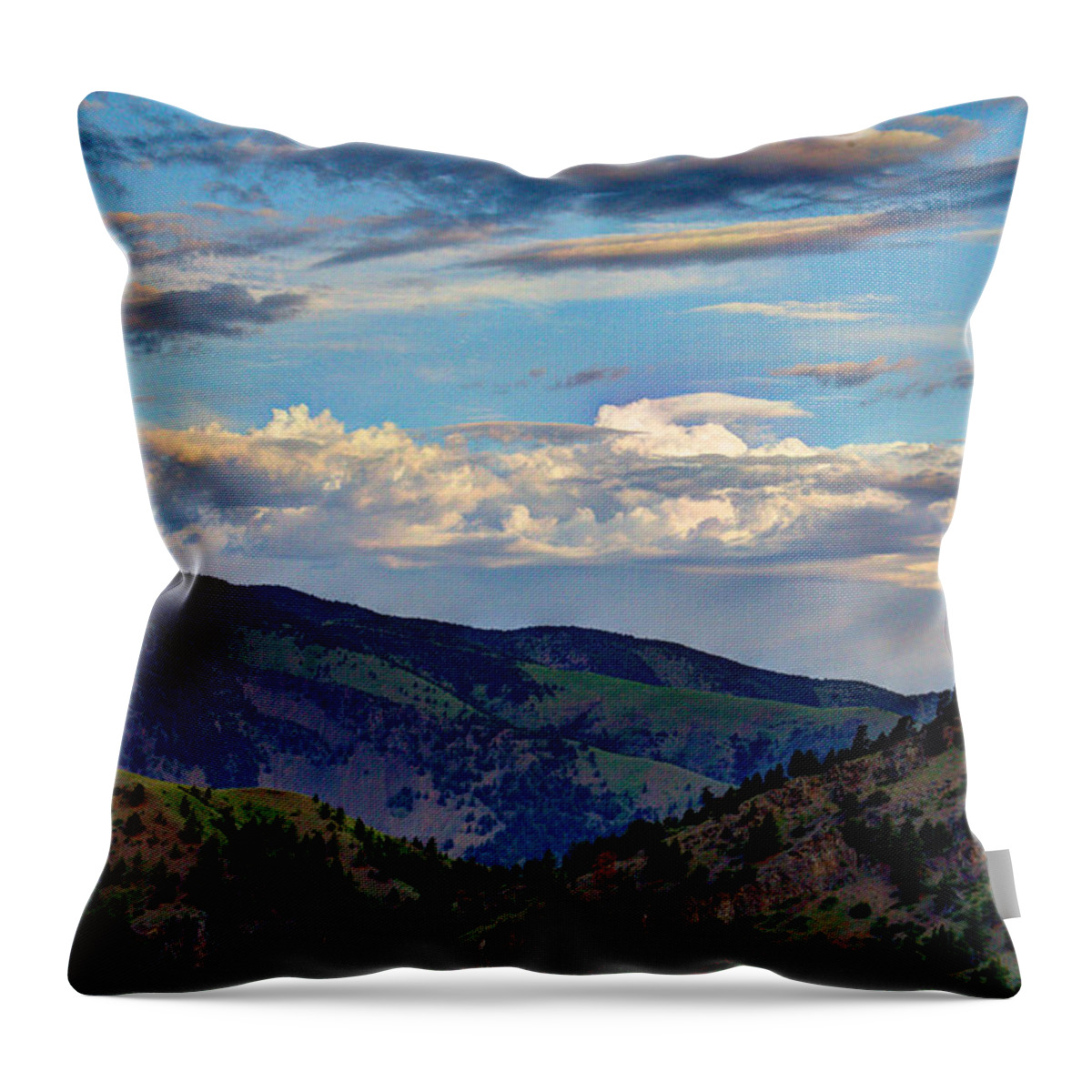 Hazy Throw Pillow featuring the photograph Haze Overlooking Holter by John Lee