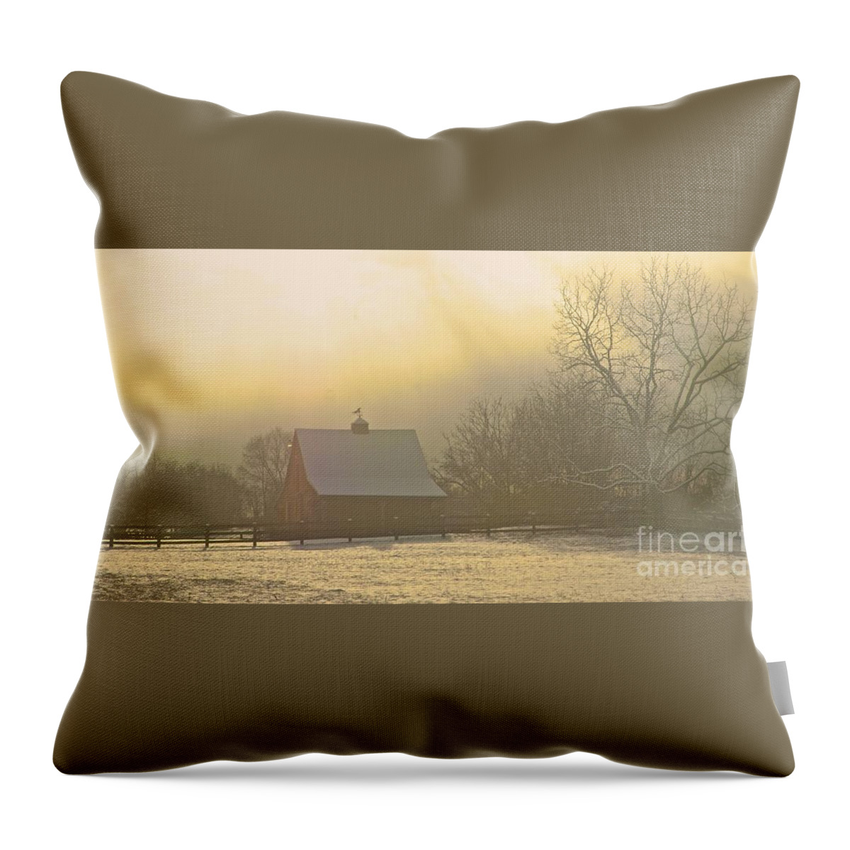 Barns Throw Pillow featuring the photograph Morning Glory by Tracy Rice Frame Of Mind