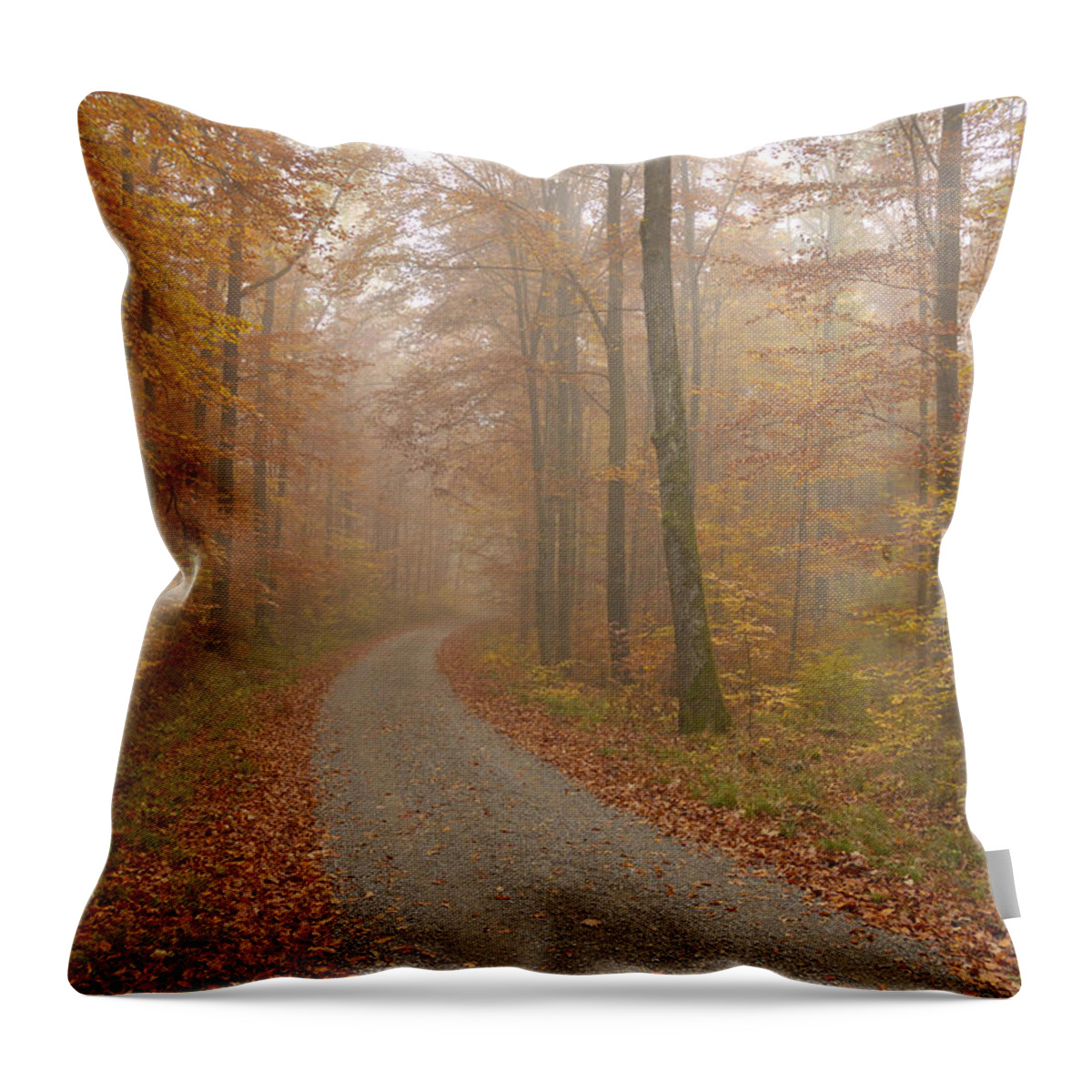 Fall Throw Pillow featuring the photograph Hazy forest in autumn by Matthias Hauser