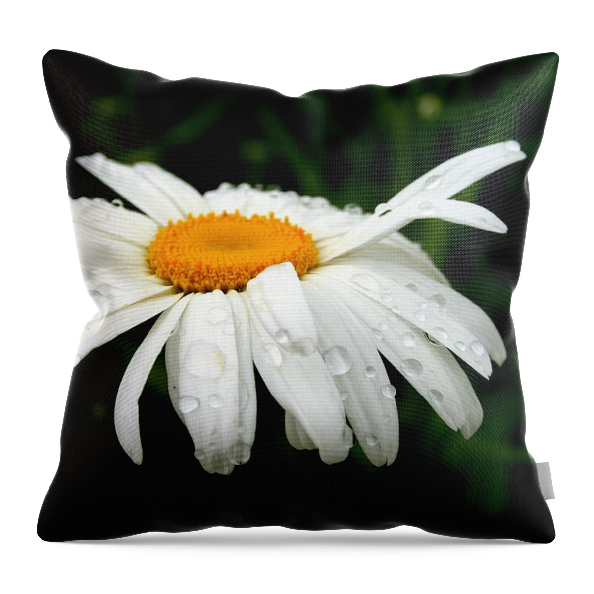 Nature Throw Pillow featuring the photograph He Loves Me He Loves Me Not by Kay Novy