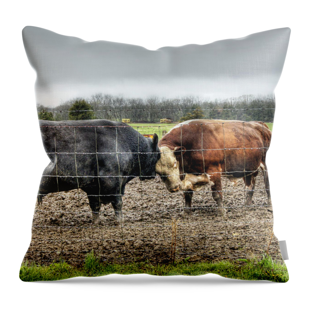 Bull Throw Pillow featuring the photograph Head to Head by Cricket Hackmann