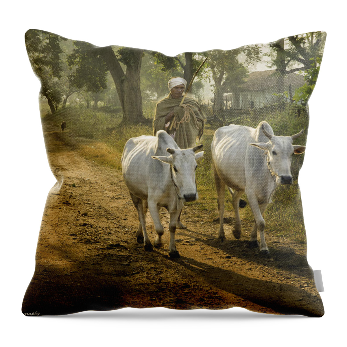 India Throw Pillow featuring the photograph Heading Home by Fran Gallogly