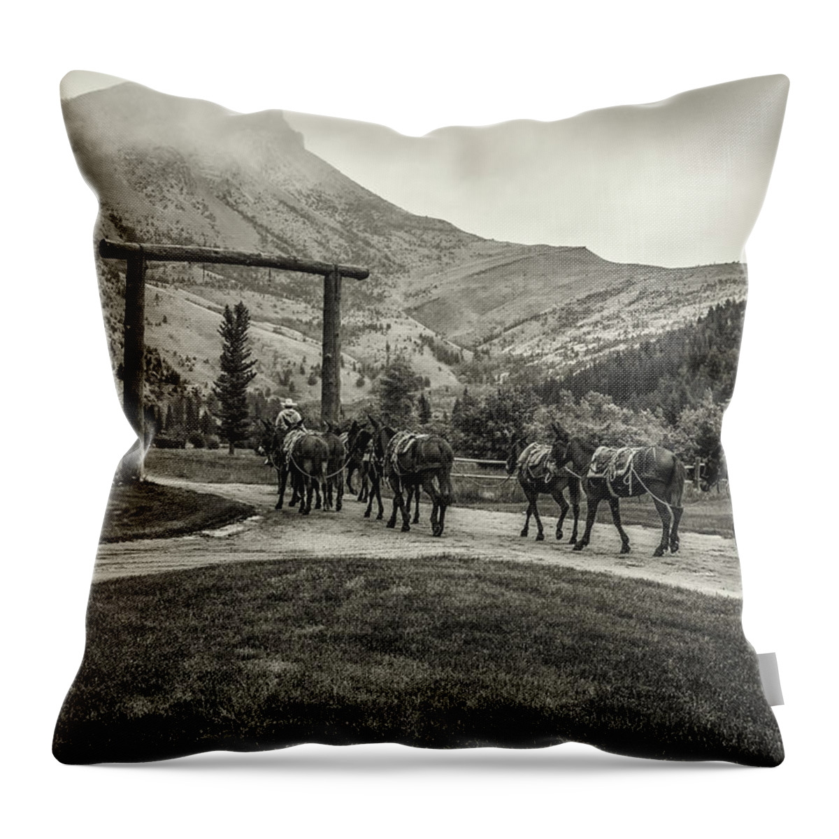 Outfitter Throw Pillow featuring the photograph Heading Into The Mountains by Thomas Young