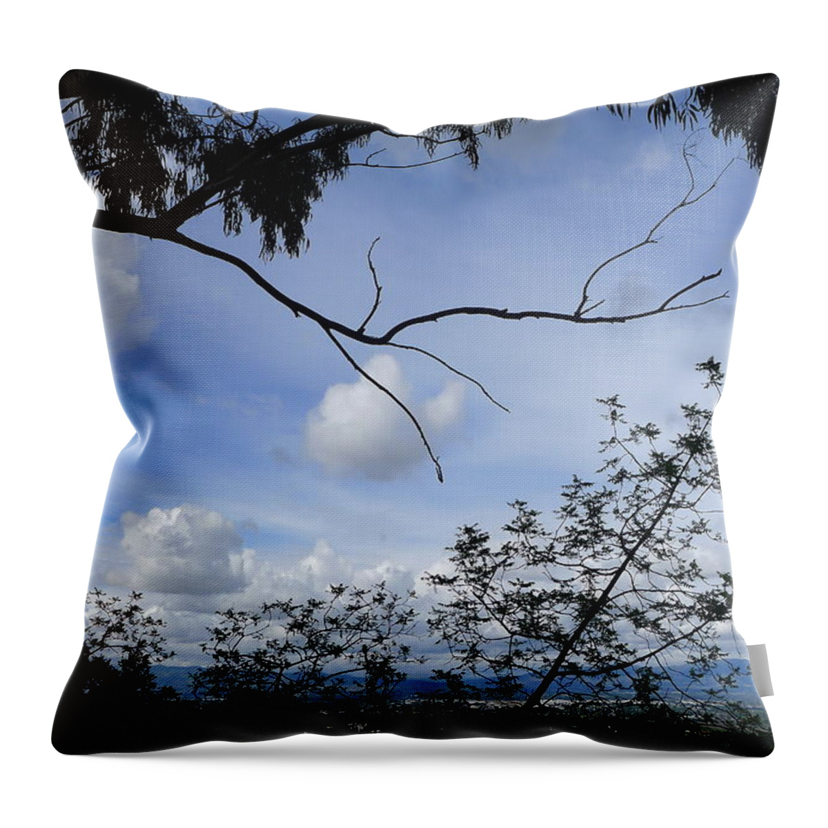 View Throw Pillow featuring the photograph heART Branch II by Nora Boghossian