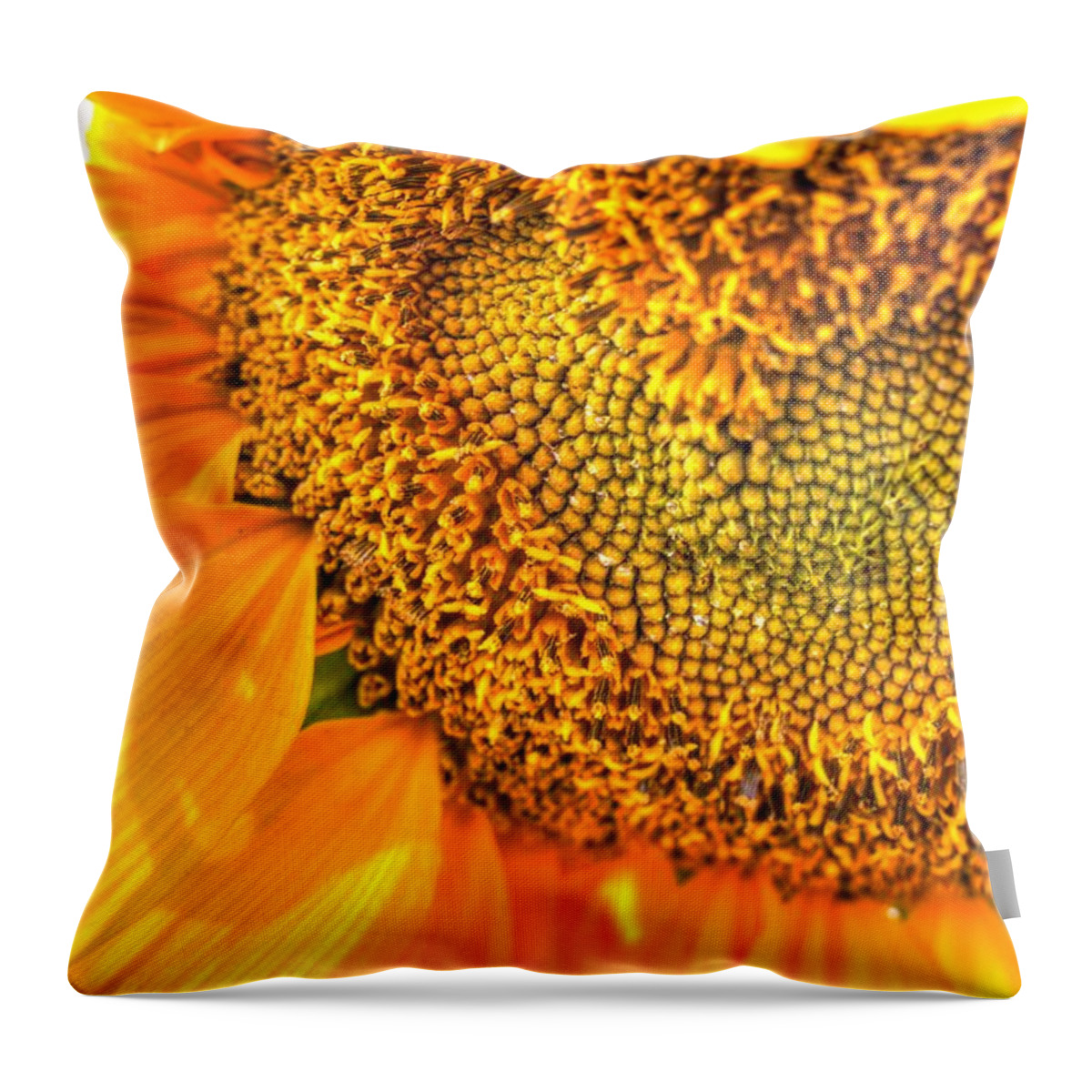 Sunflower Throw Pillow featuring the photograph Heart-felt Sunflower by Scott Carlton