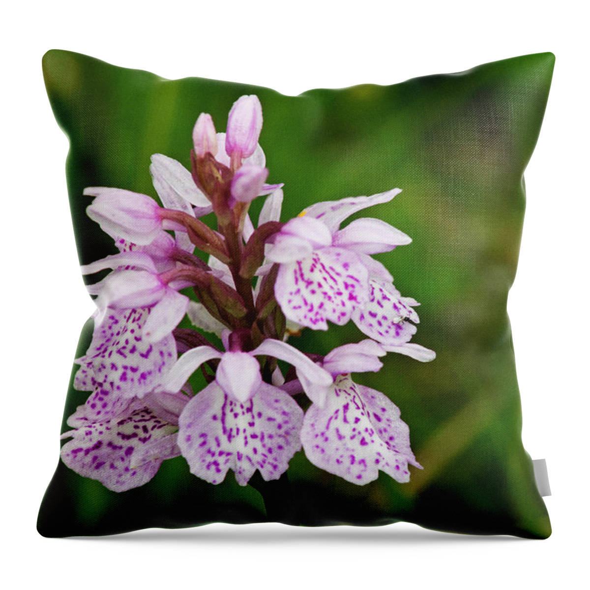 Orchid Throw Pillow featuring the photograph Heath Spotted Orchid by Tony Murtagh