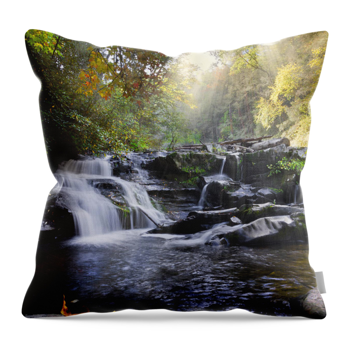 Appalachia Throw Pillow featuring the photograph Heaven's Light by Debra and Dave Vanderlaan