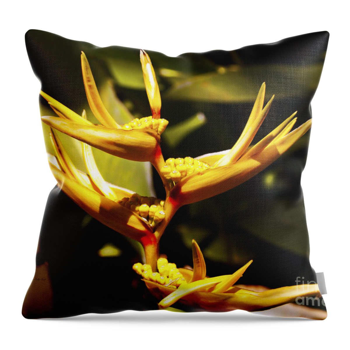 Flower Photography Throw Pillow featuring the photograph Heliconia by Patricia Griffin Brett