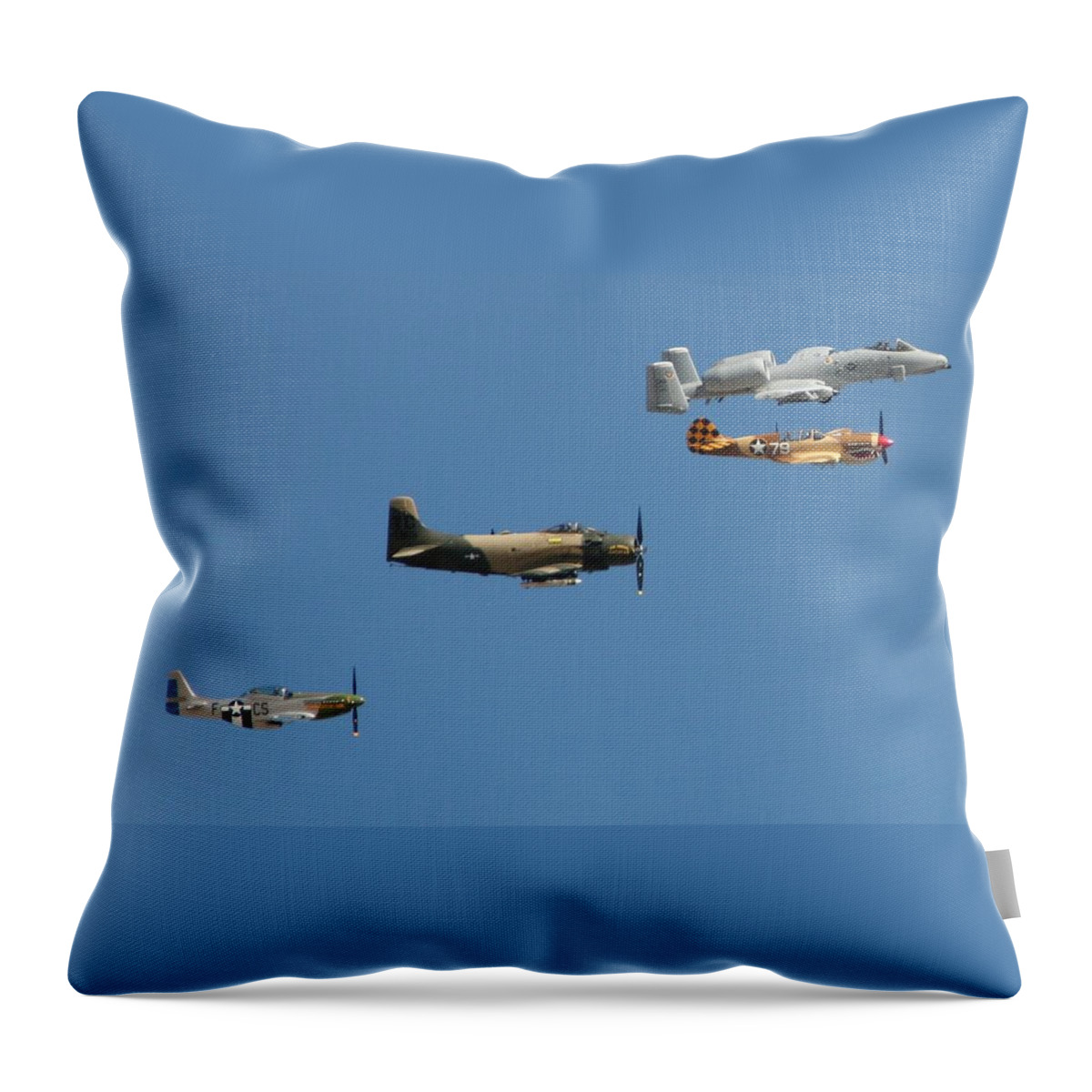 A-10 Throw Pillow featuring the photograph Heritage by David S Reynolds