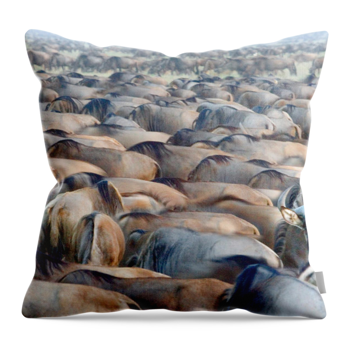 Photography Throw Pillow featuring the photograph Herd Of Wildebeests In A Field by Panoramic Images