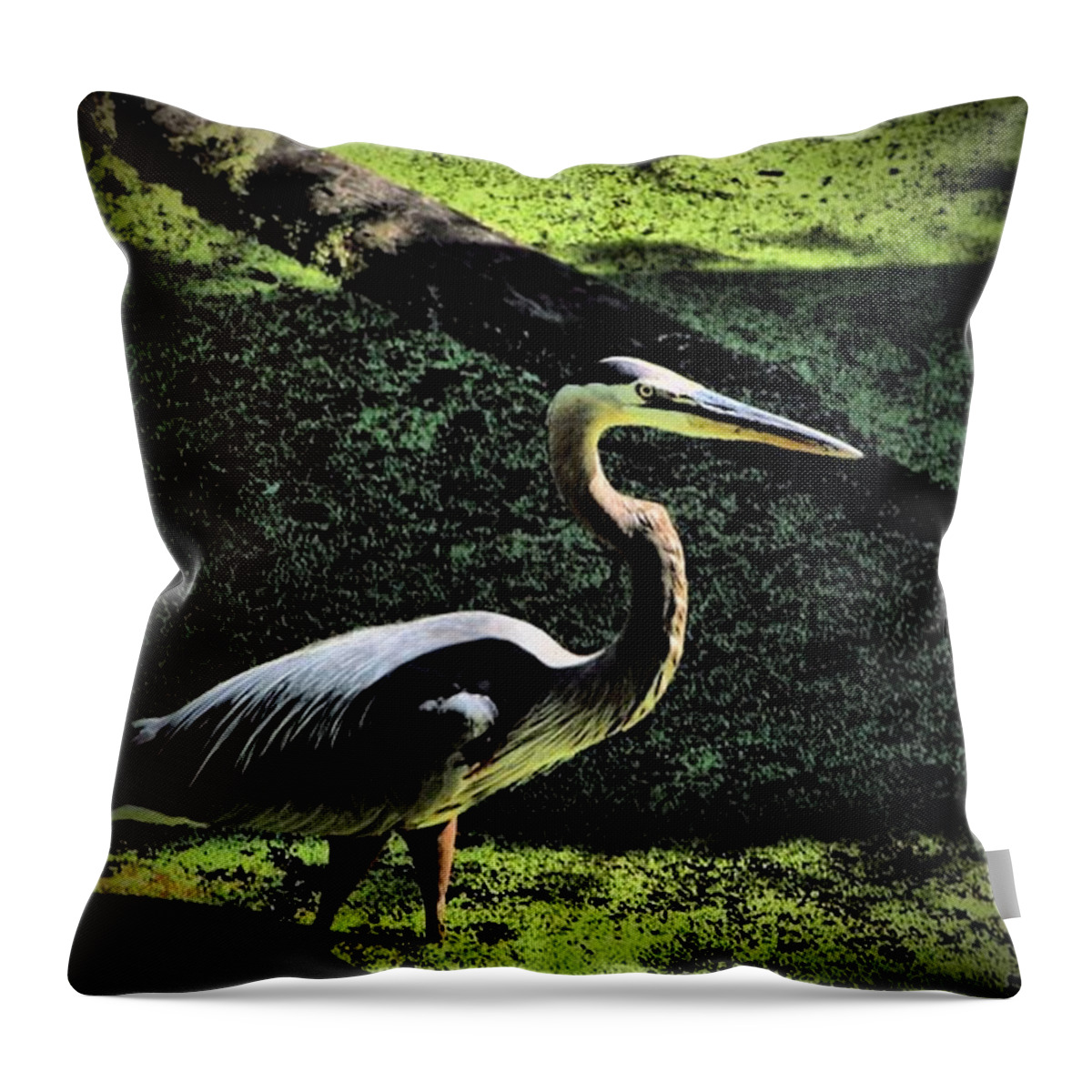 Animals Throw Pillow featuring the photograph Here Fishy Fishy by Robert McCubbin