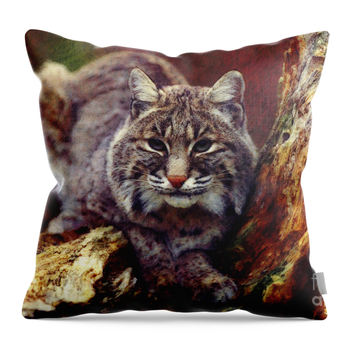  Throw Pillow featuring the digital art Here Kitty Kitty by Lianne Schneider