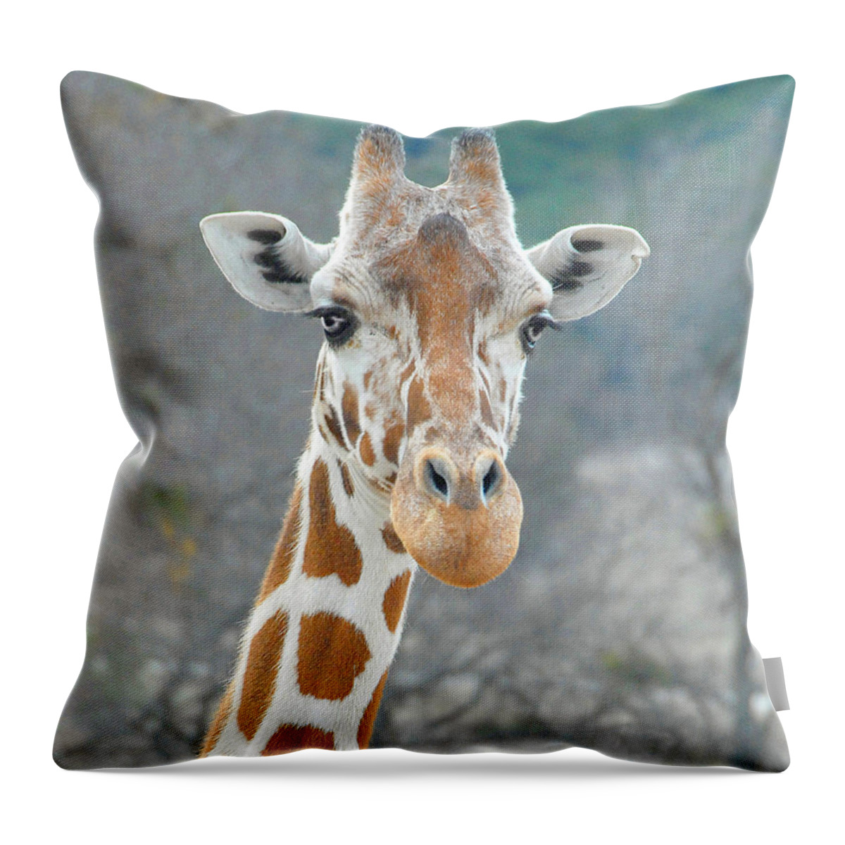 Giraffe Throw Pillow featuring the photograph Here's Lookin' at You by Dyle  Warren