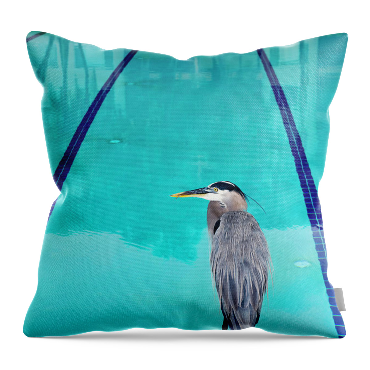 Swimming Pool Throw Pillow featuring the photograph Heron At Pool by Thomas Winz