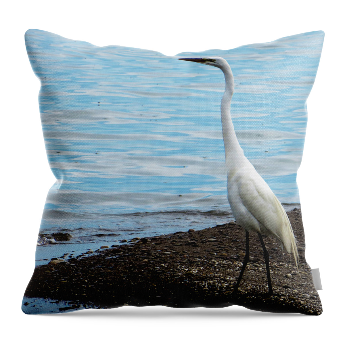 Heron Throw Pillow featuring the photograph Heron By The Beach by Shawna Rowe