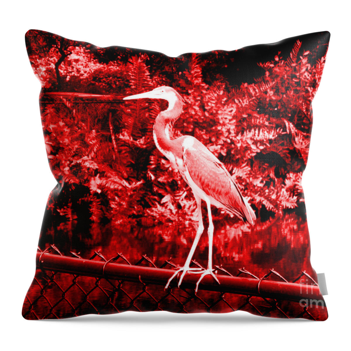 Nature Throw Pillow featuring the photograph Heron in red. Bird by Oksana Semenchenko