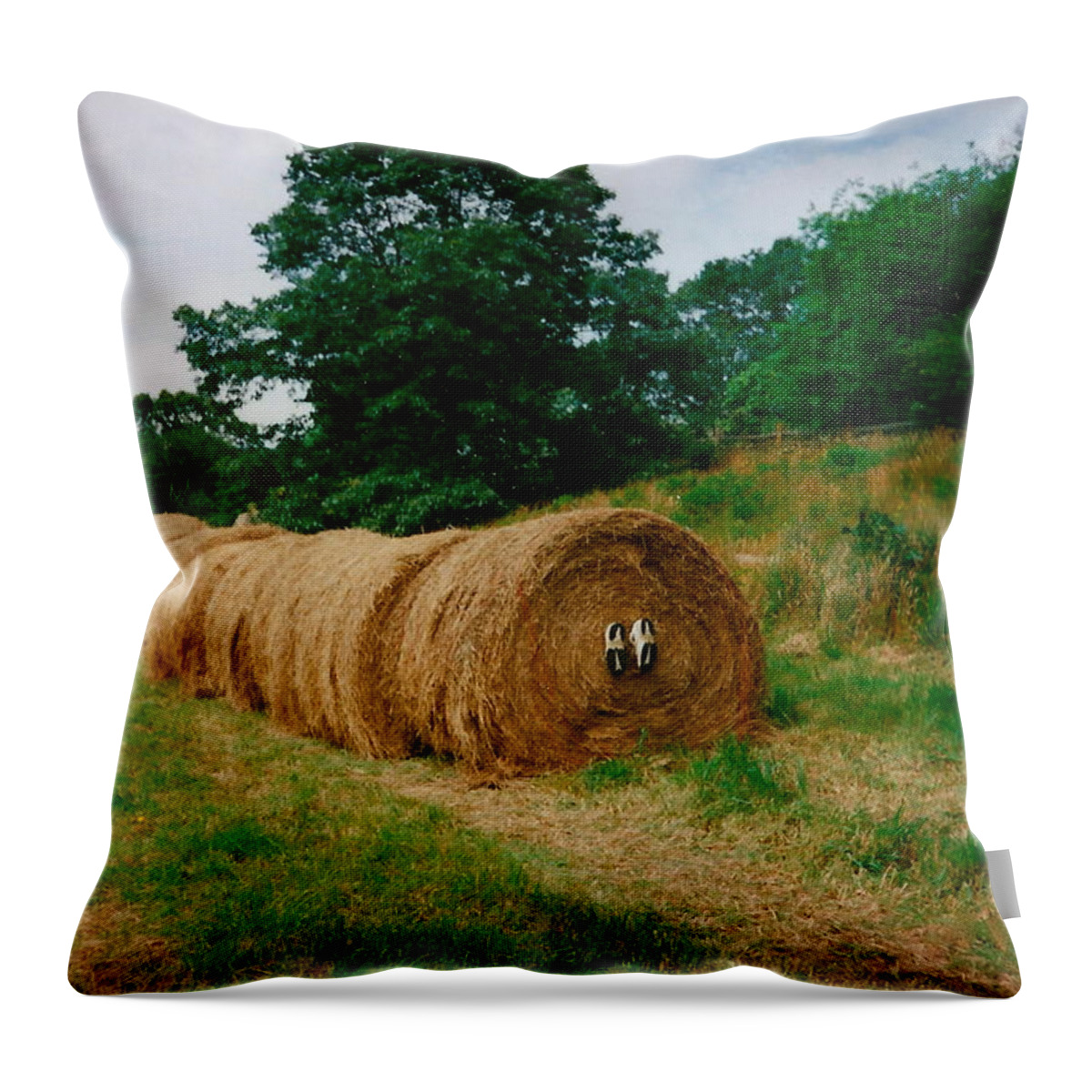 Hay Throw Pillow featuring the photograph Hey- Hay Roll by Jeffrey Canha
