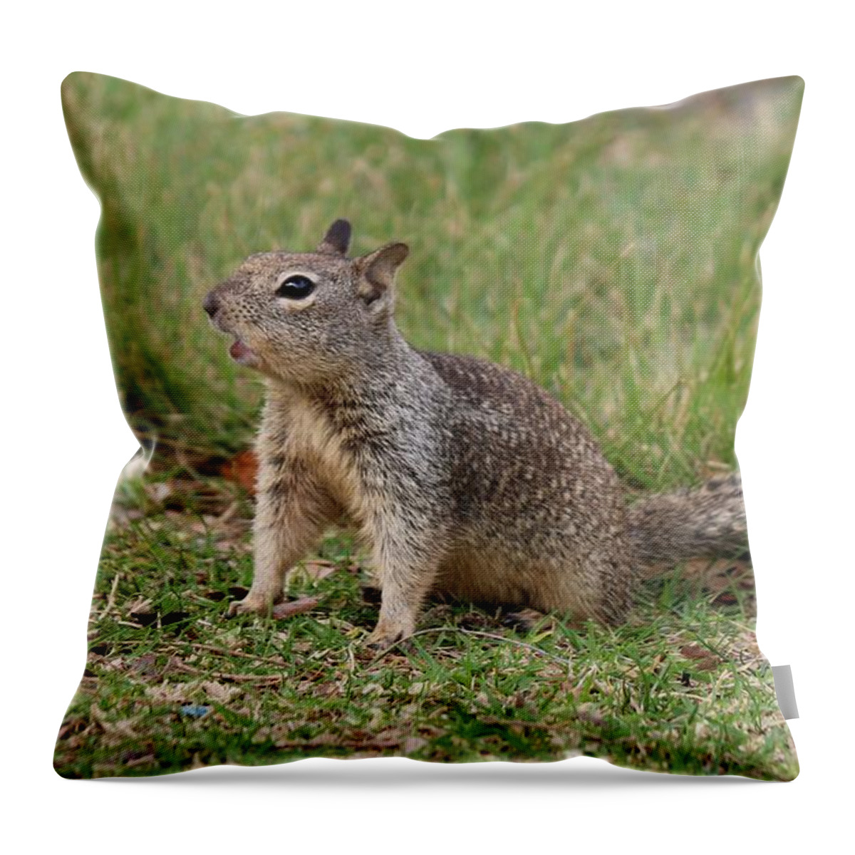 Ground Throw Pillow featuring the photograph Hey There by Christy Pooschke