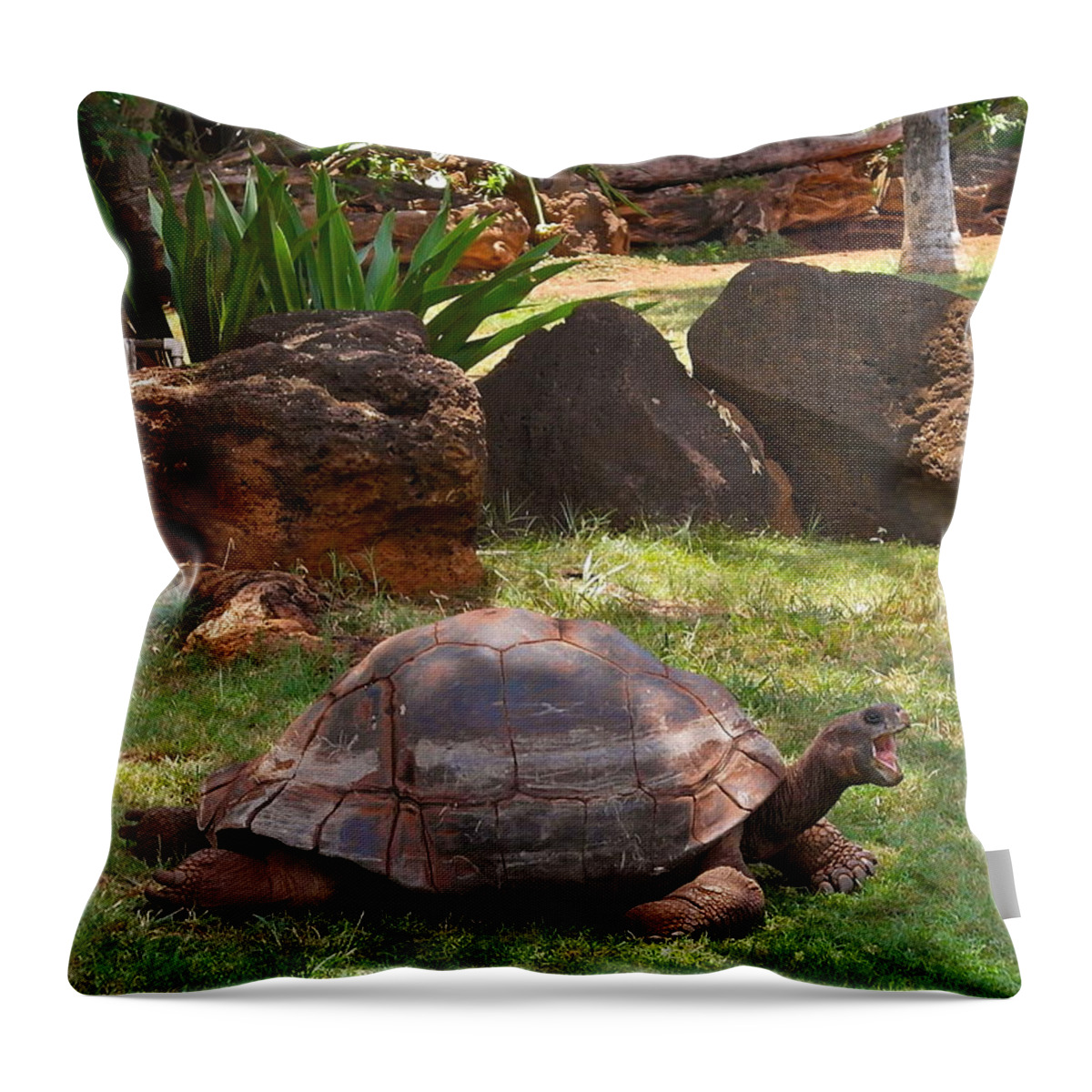 Galapagos Turtle Throw Pillow featuring the photograph Hey - What About Me by Michele Myers