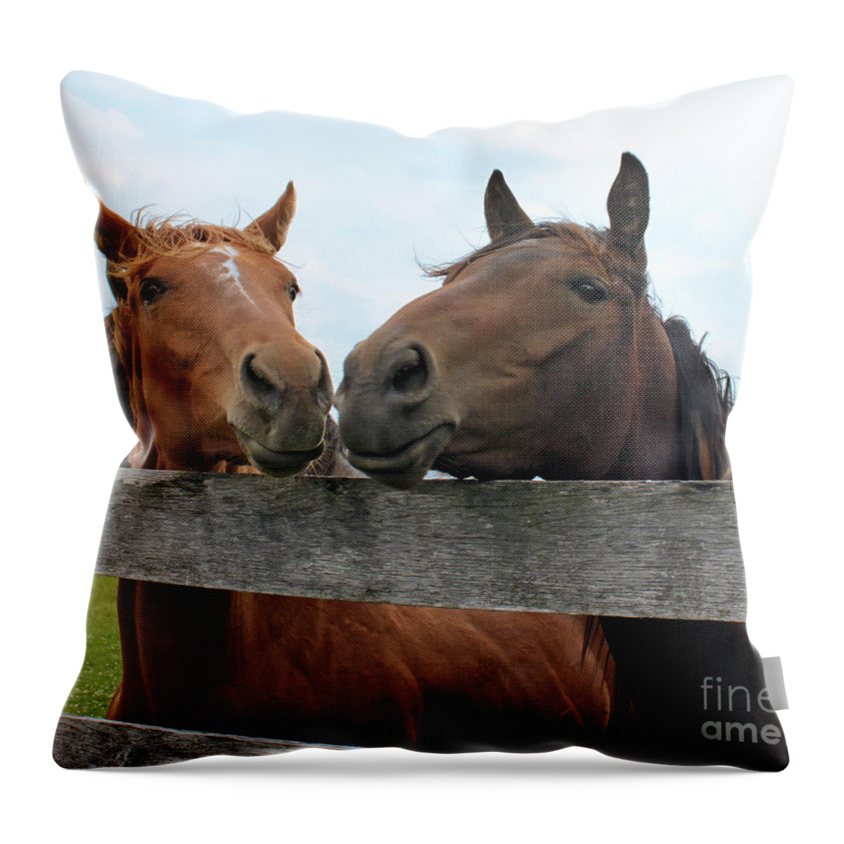 Horse Throw Pillow featuring the photograph Hey You Come Here by Debbie Hart