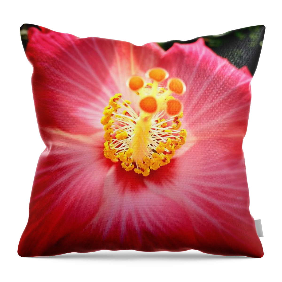 Hibiscus Throw Pillow featuring the photograph Hibiscus Highland by John Duplantis