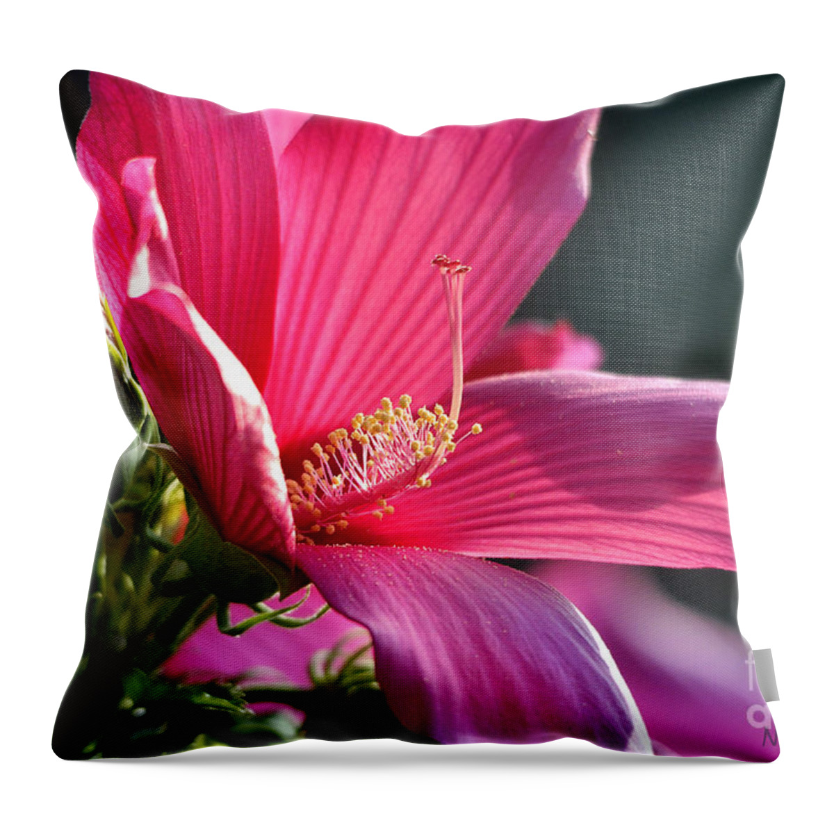 Nature Throw Pillow featuring the photograph Hibiscus Morning Bright by Nava Thompson