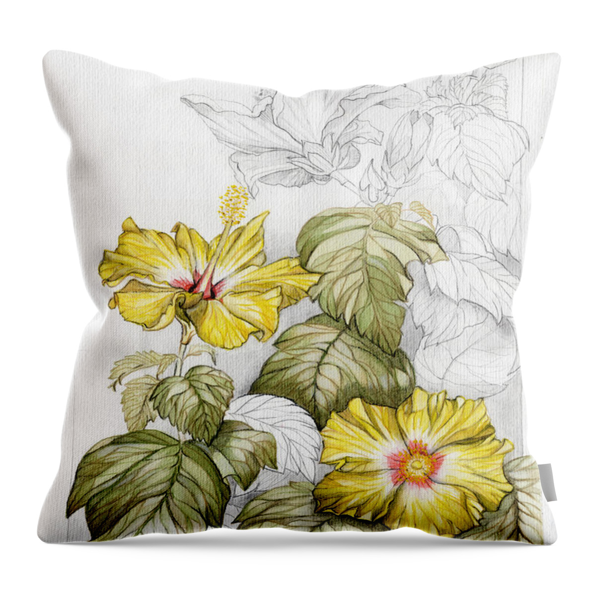 Drawing Throw Pillow featuring the painting Hibiscus Watercolor Pencil Study by Elena Daniel Yakubovich