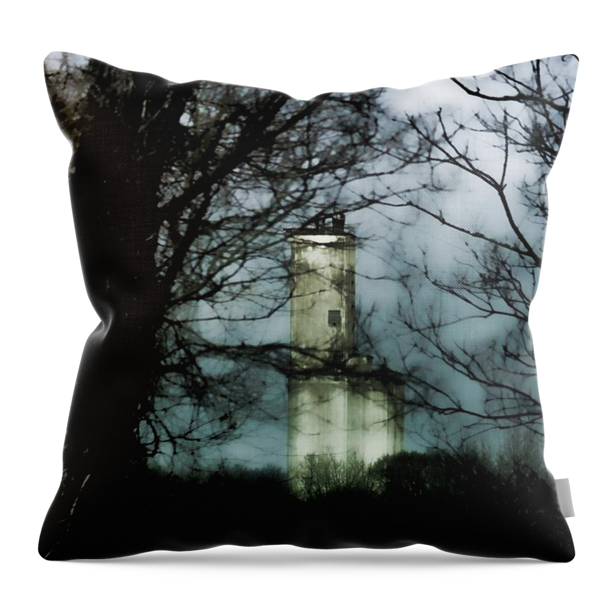 Lesa Fine Throw Pillow featuring the photograph Hidden in Montgomery by Lesa Fine