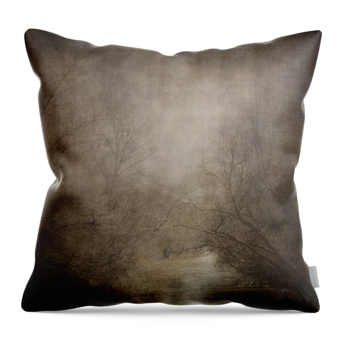 Abstract Nature Art Throw Pillow featuring the photograph Hidden Waters by Jai Johnson
