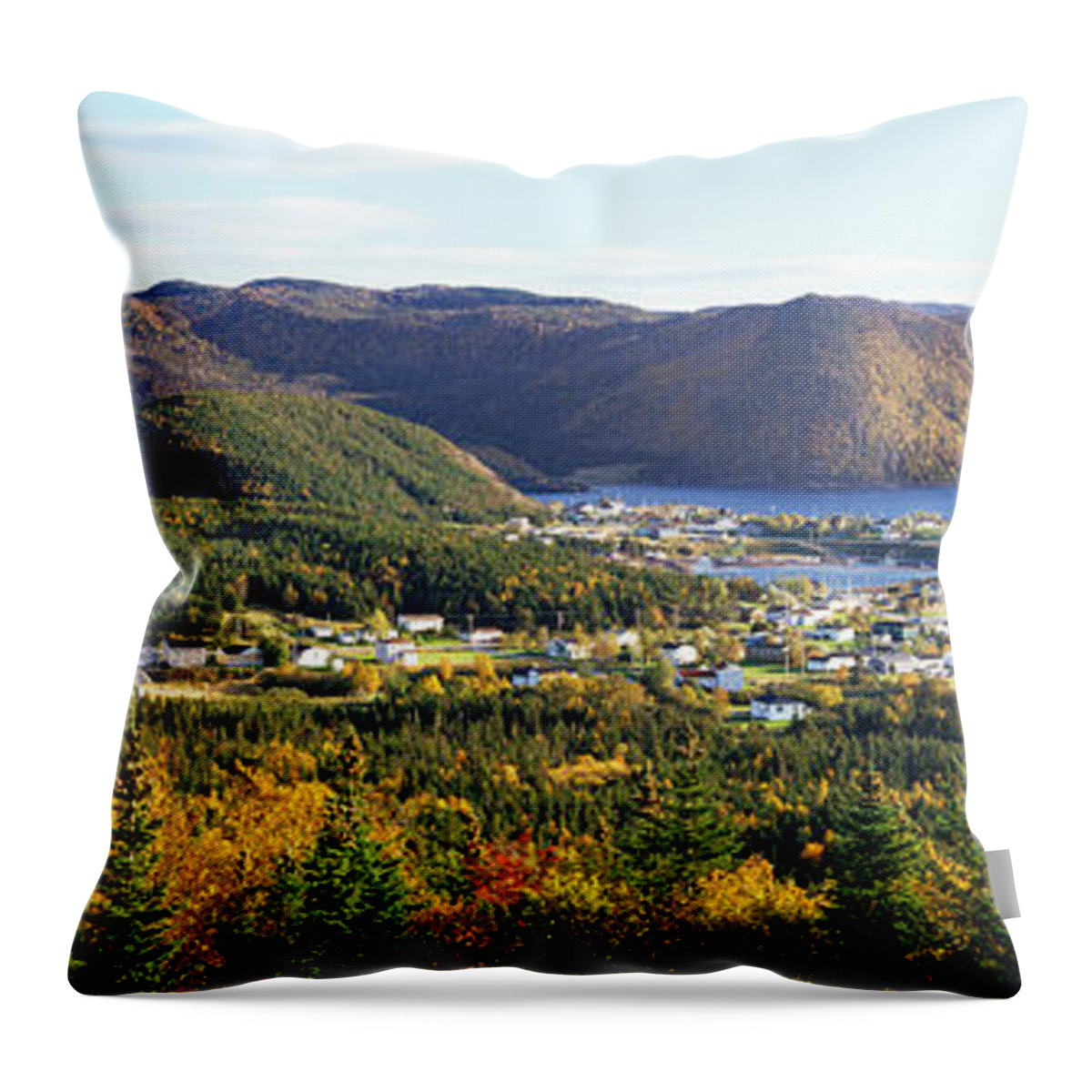 Photography Throw Pillow featuring the photograph High Angle View Of Norris Point by Panoramic Images