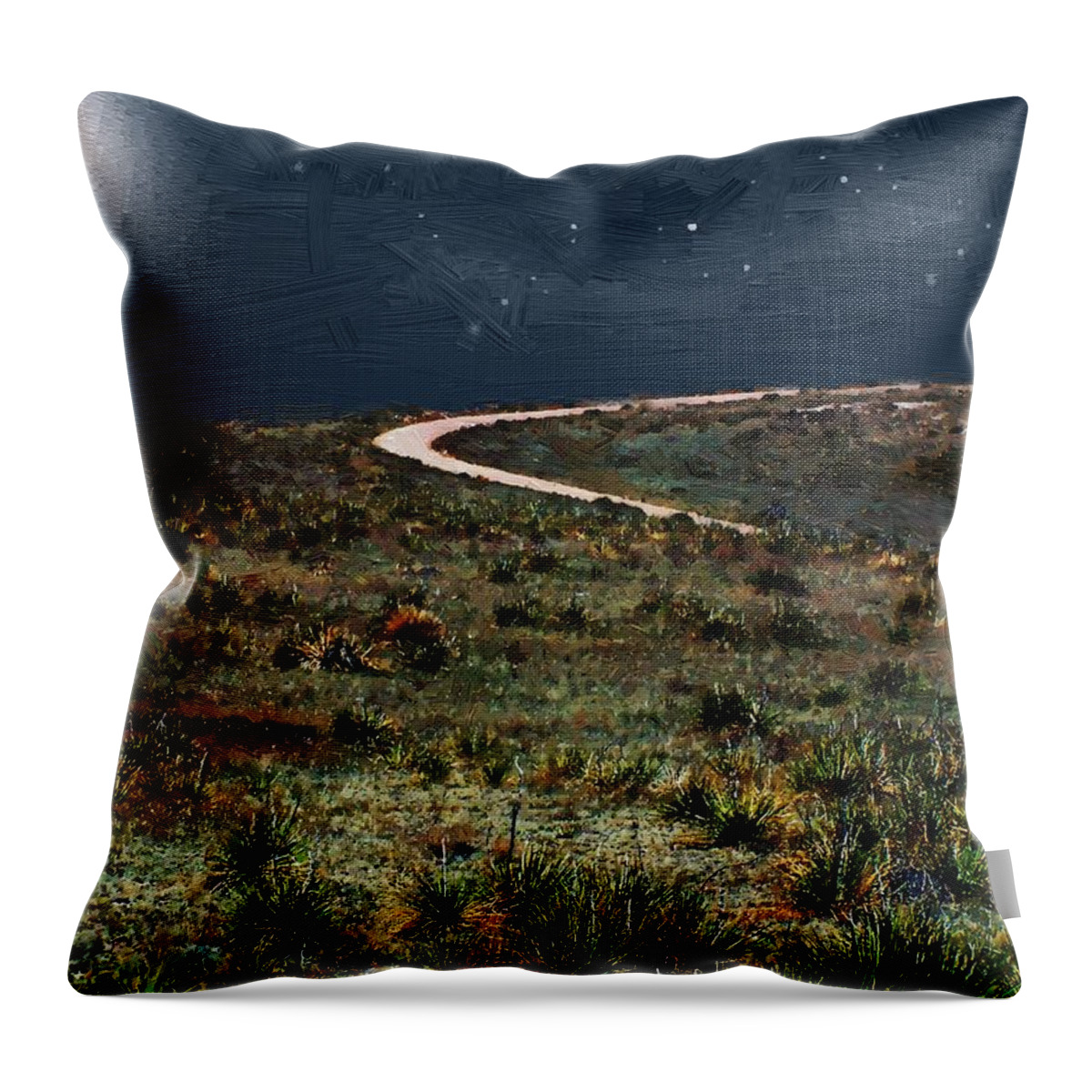 Colorado Throw Pillow featuring the painting High Desert Curve by RC DeWinter