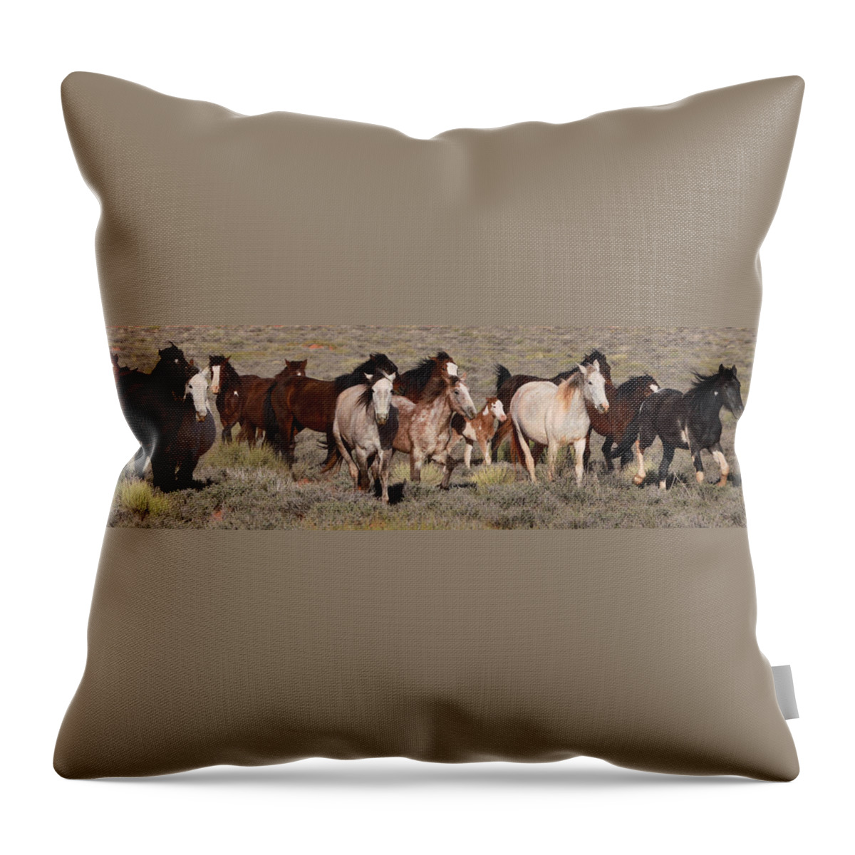 Mustangs Monument 2012 Throw Pillow featuring the photograph High Desert Horses by Diane Bohna