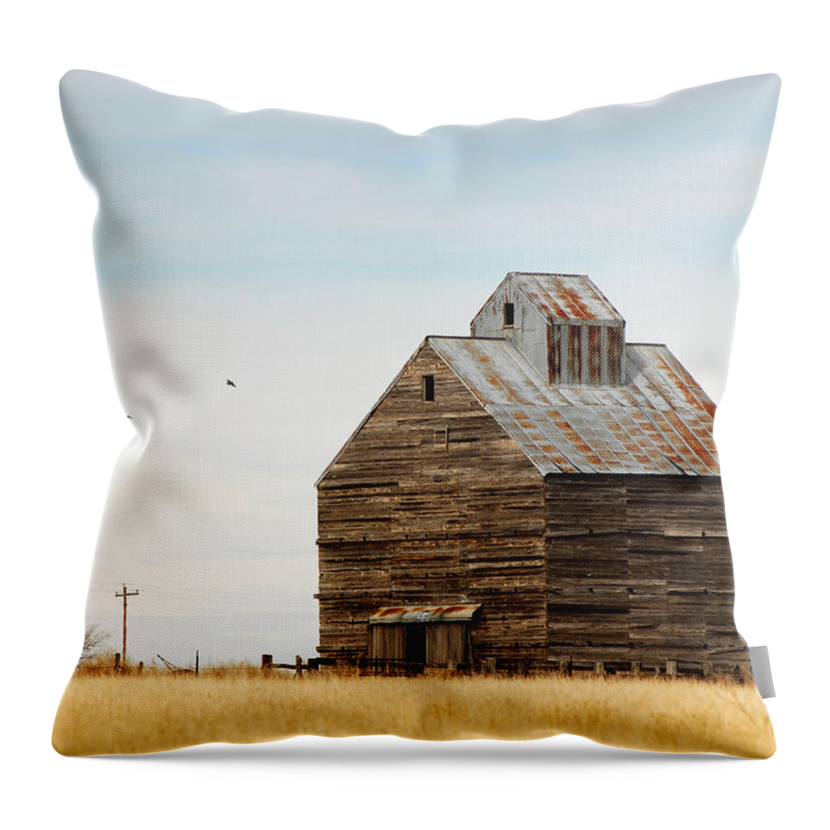 Texas Throw Pillow featuring the photograph High Plains Autumn by Karen Slagle