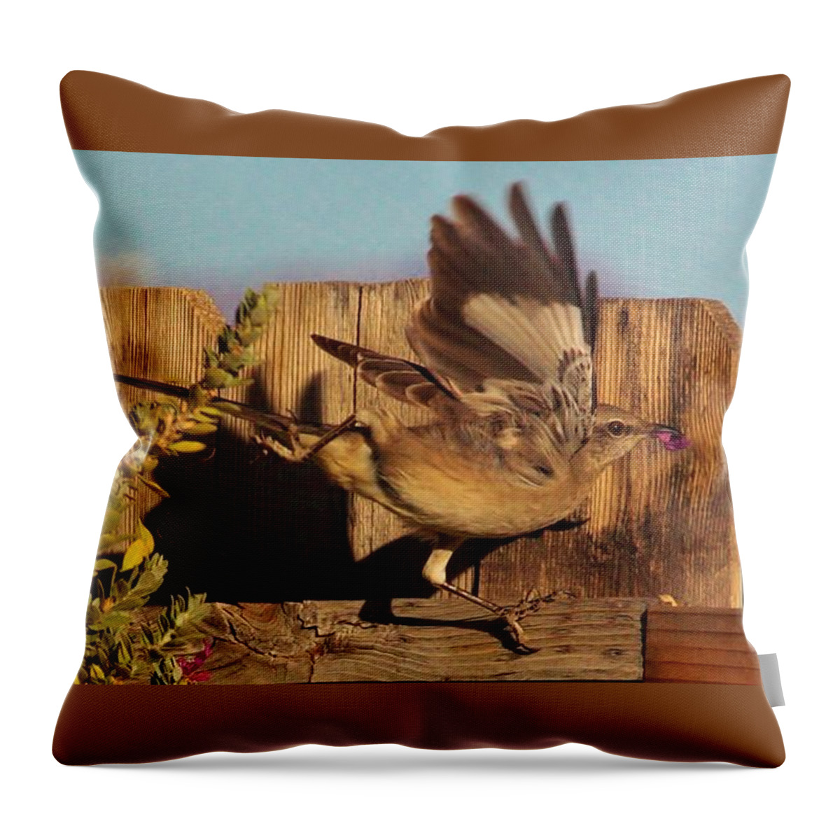 Birds Throw Pillow featuring the photograph Hightail It Out of There by Marcia Breznay