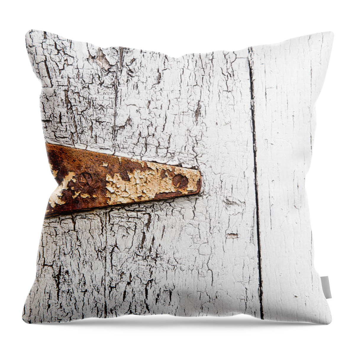 Hinge Throw Pillow featuring the photograph Hinge by Karol Livote