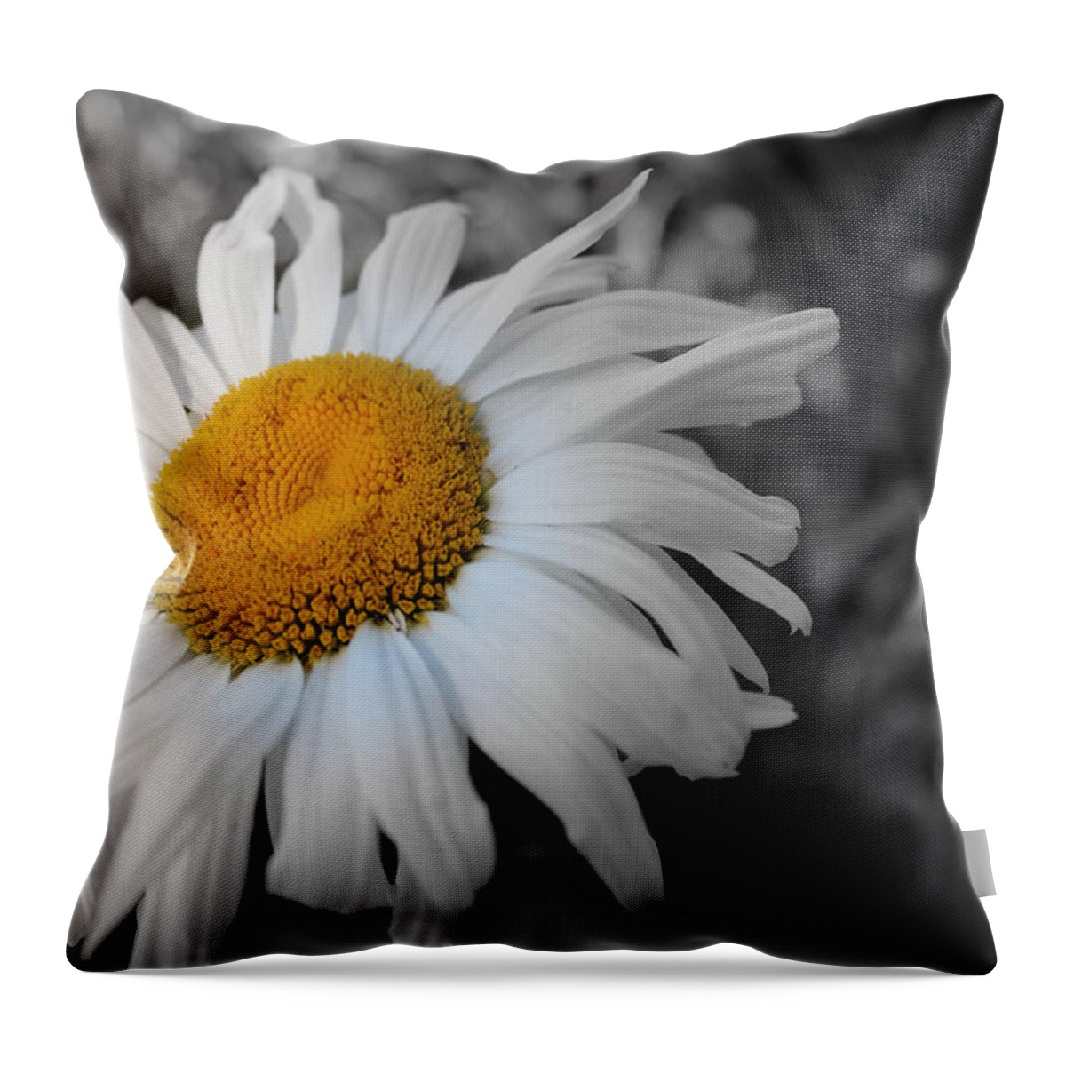 Flower Throw Pillow featuring the photograph Hint of Yellow by Lynn Sprowl
