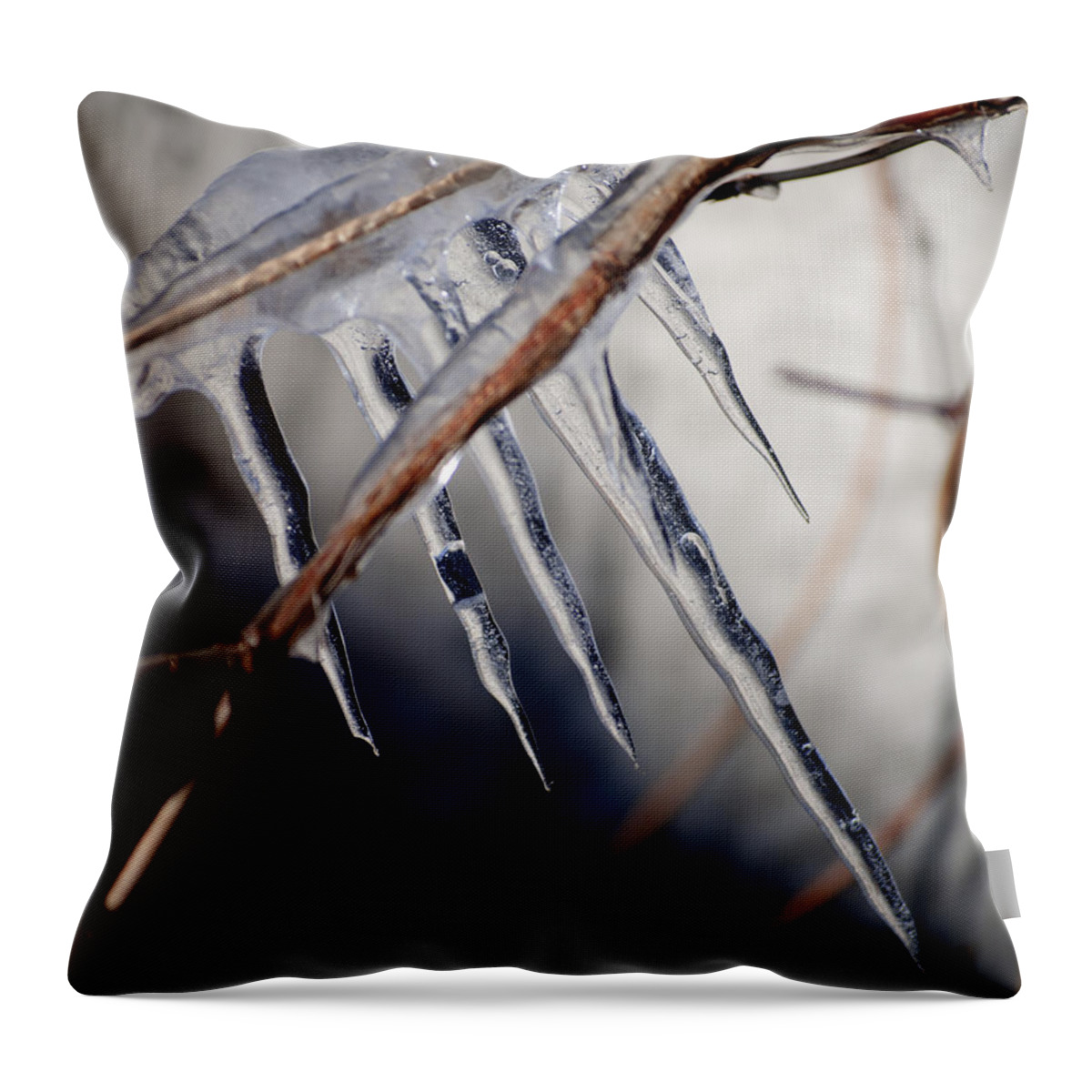 Blumwurks Throw Pillow featuring the photograph His Biting Touch by Matthew Blum