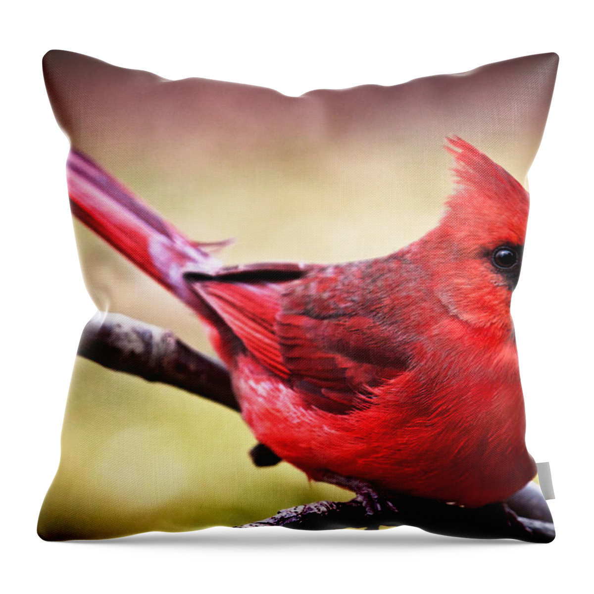 Northeast Throw Pillow featuring the photograph His Holiness was here by Mihai Andritoiu