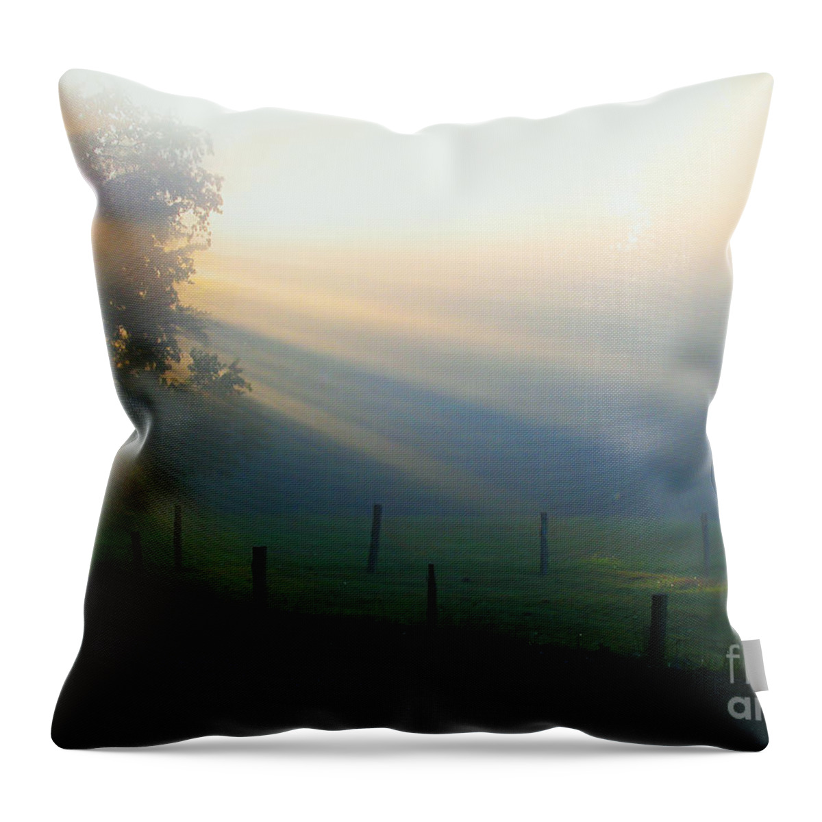 Sunrise Throw Pillow featuring the photograph His Light II by Douglas Stucky
