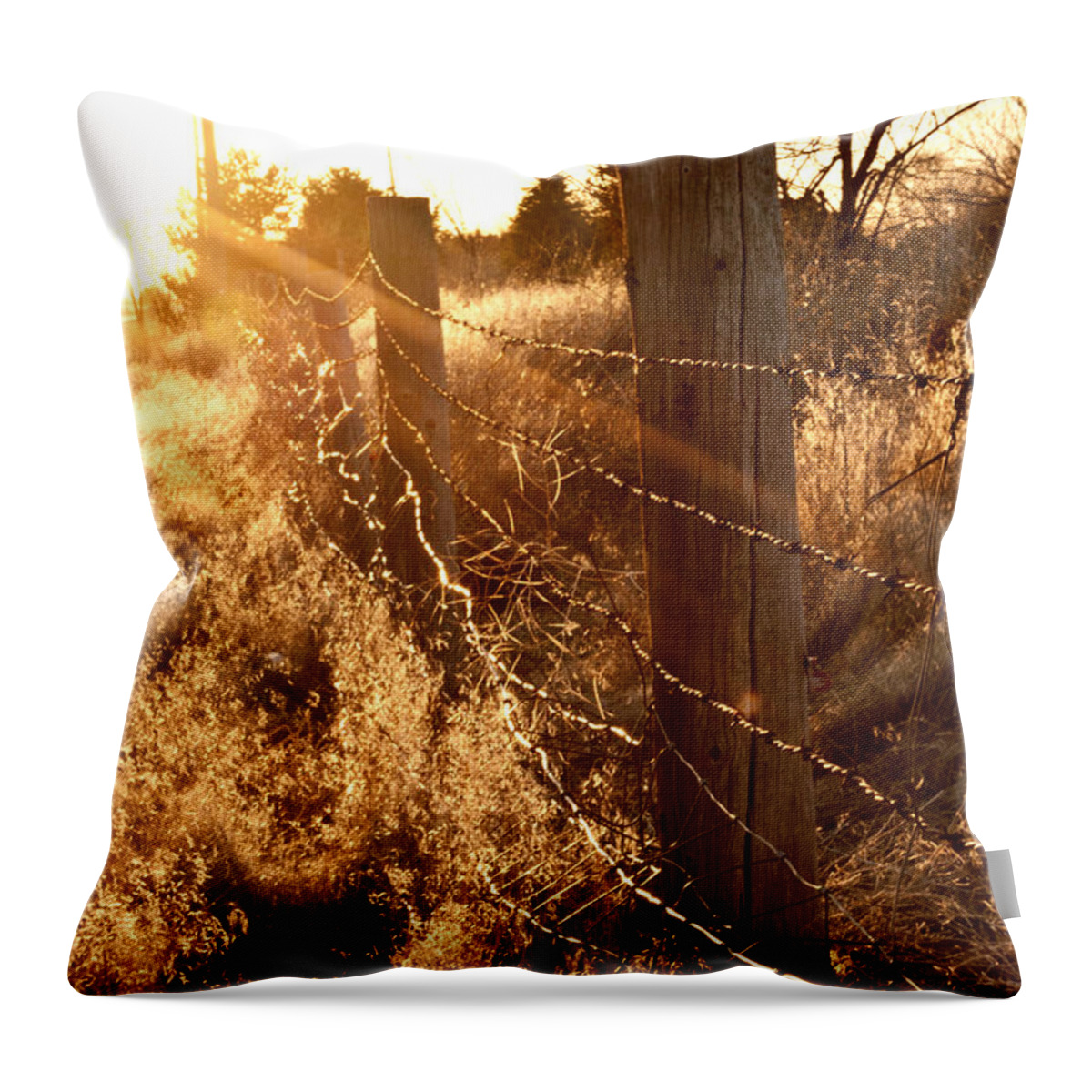 Old Fence Throw Pillow featuring the photograph His Light by Jessica Tookey