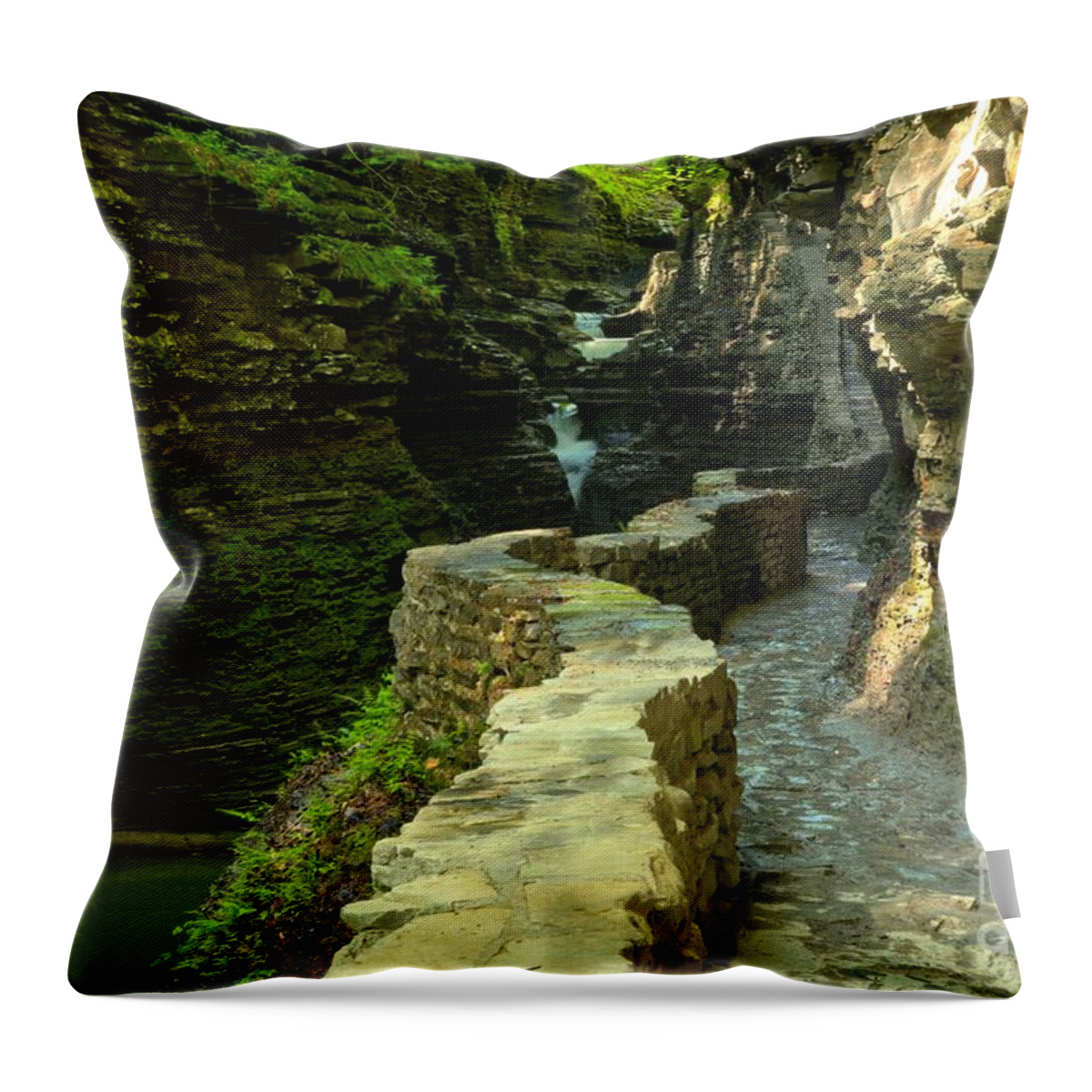 Watkins Glen State Park Throw Pillow featuring the photograph Historic Canyon Trail by Adam Jewell