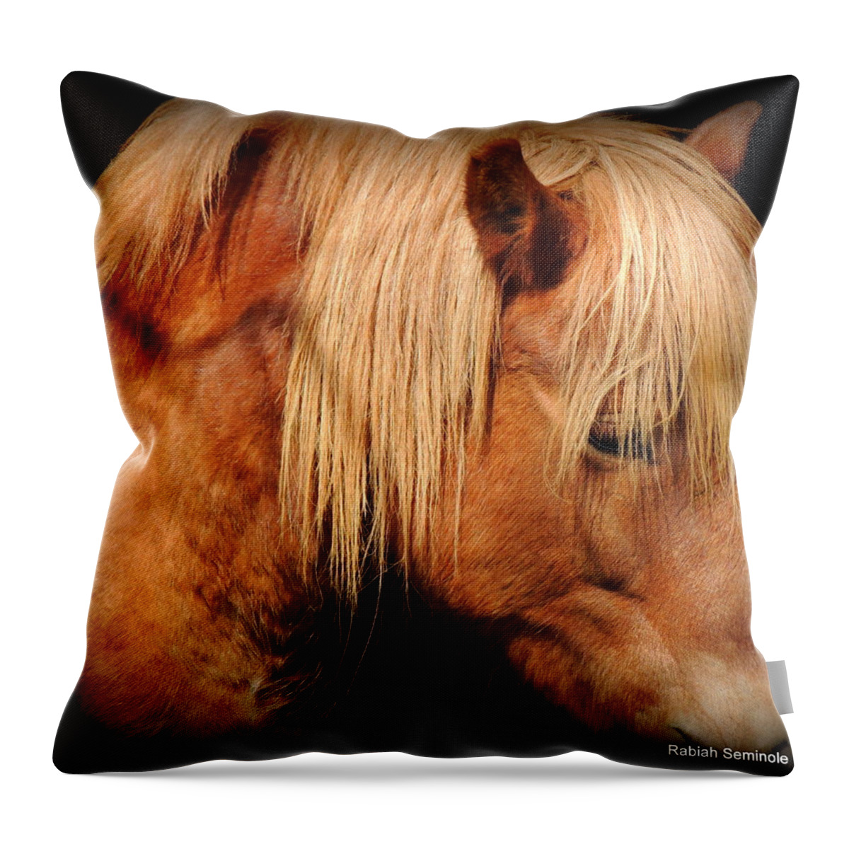 Hafflinger Throw Pillow featuring the photograph Hitch by Rabiah Seminole