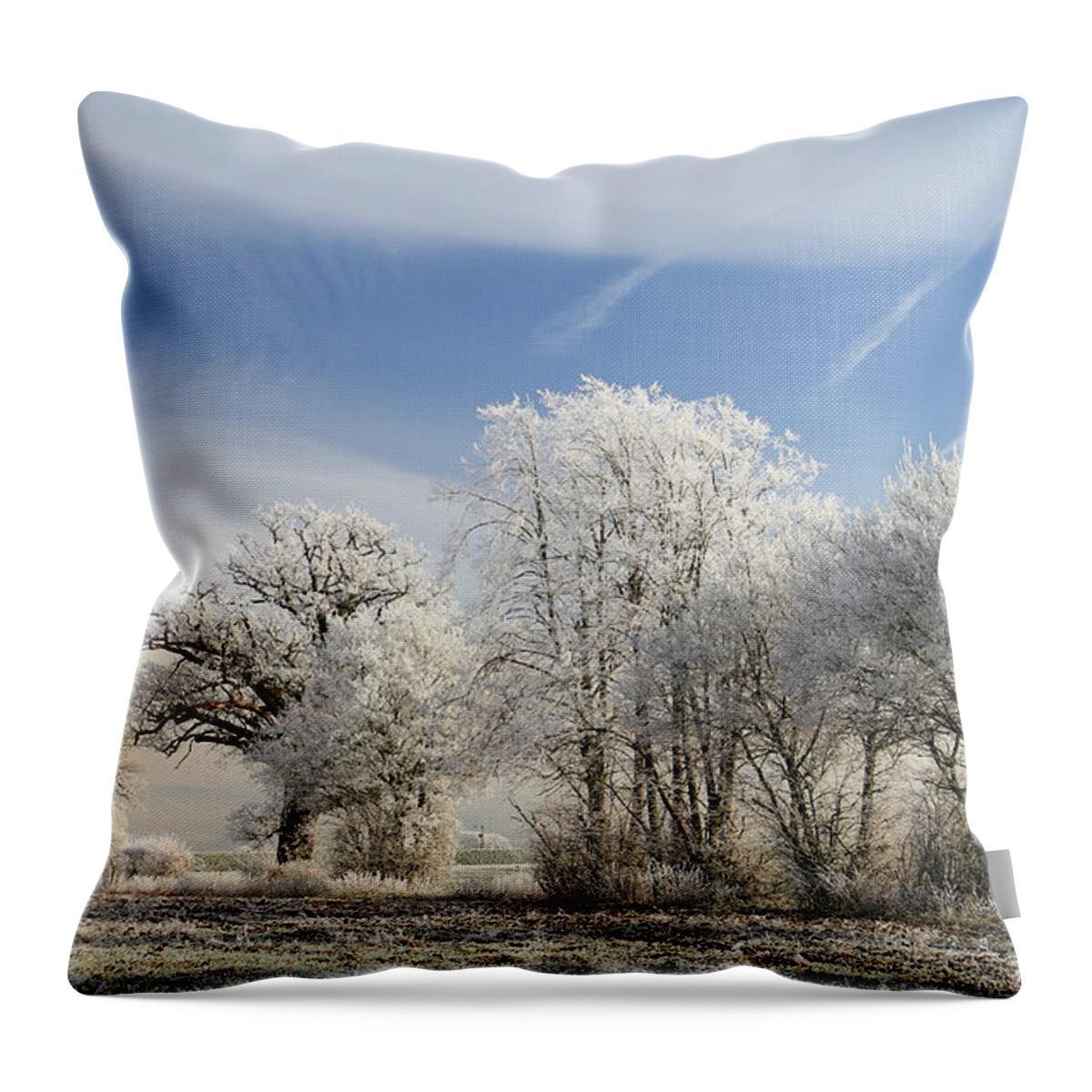 Tranquility Throw Pillow featuring the photograph Hoar Frost On Trees In Winter by © Jackie Bale