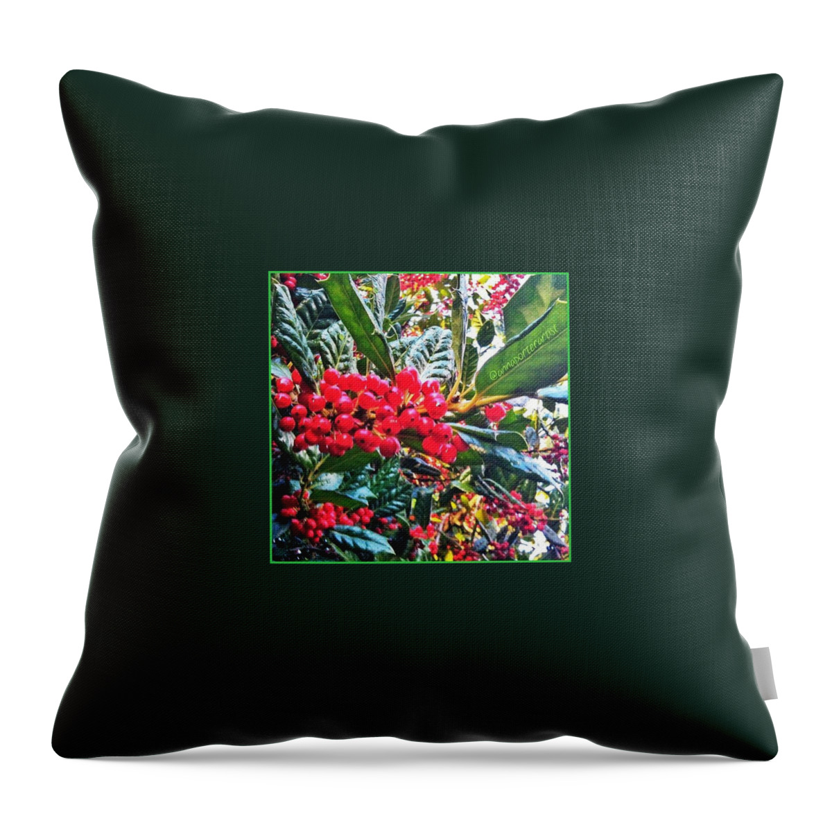 Holly Throw Pillow featuring the photograph Holly Berries In The Sun by Anna Porter