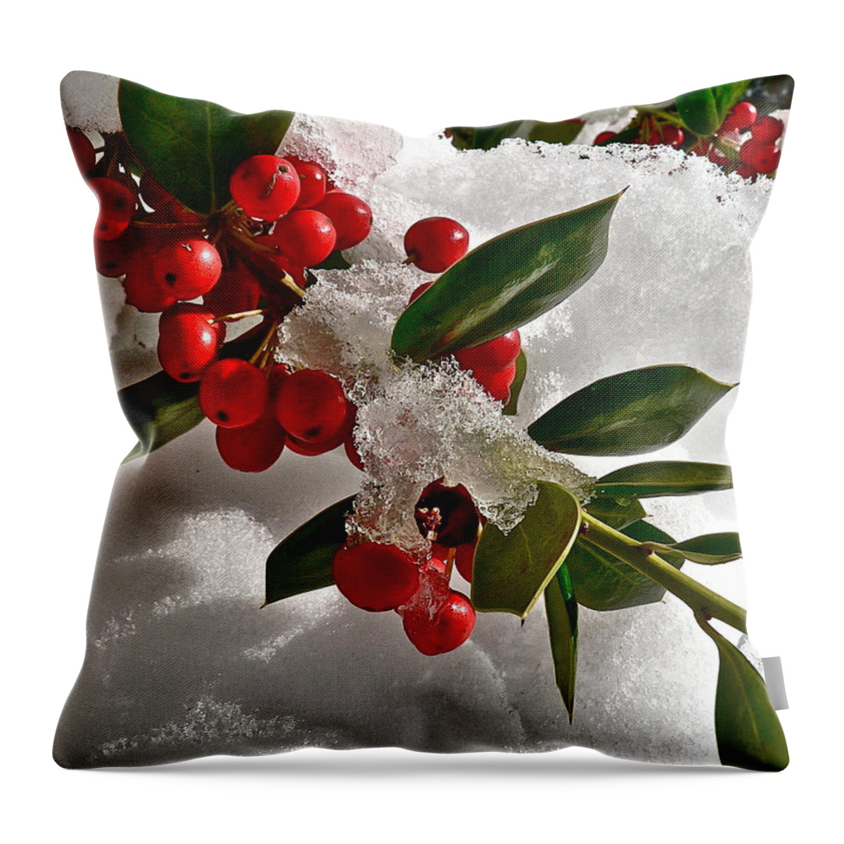 Holly Throw Pillow featuring the photograph Holly Berries by Jean Wright
