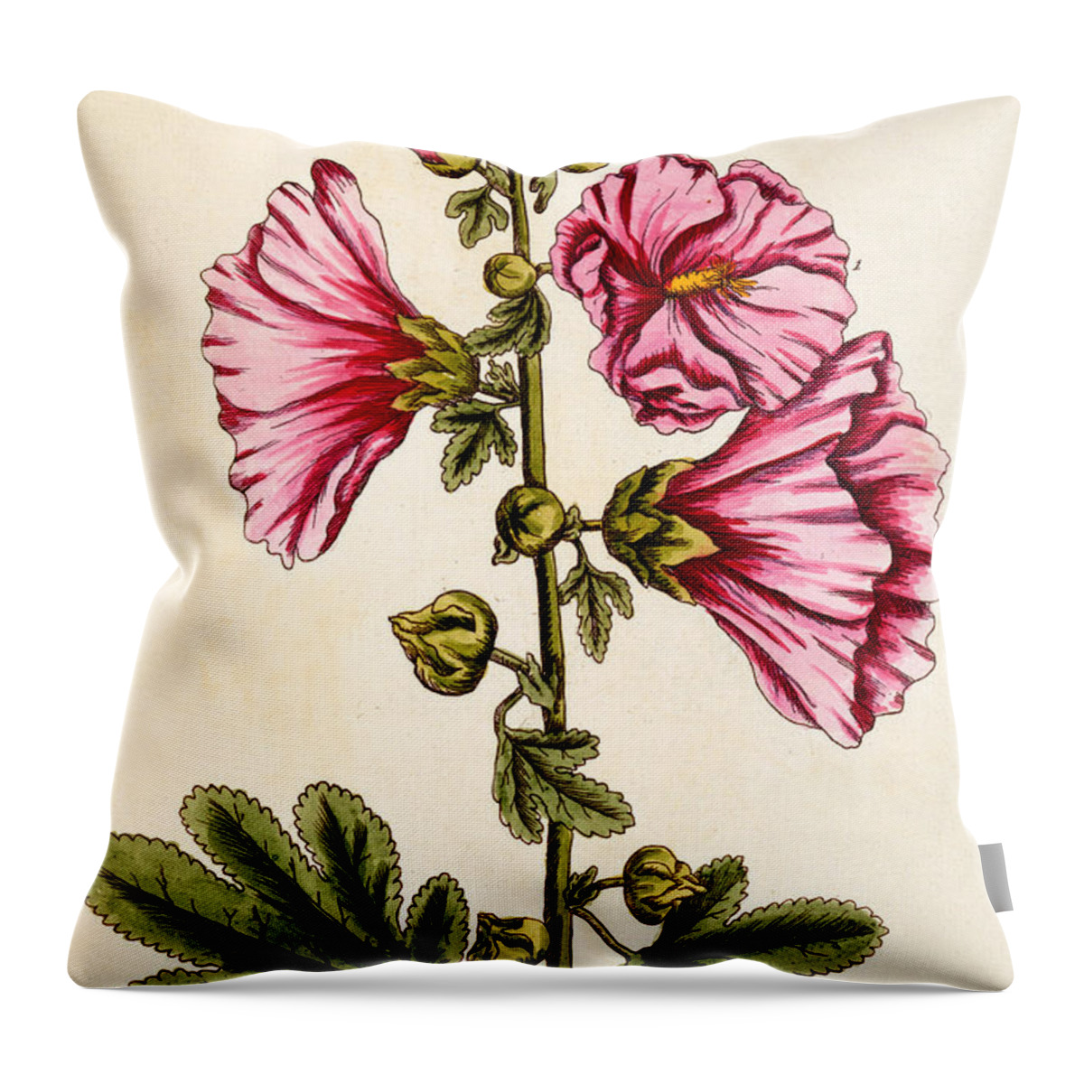 Still-life Throw Pillow featuring the painting Hollyhocks by Elizabeth Blackwell