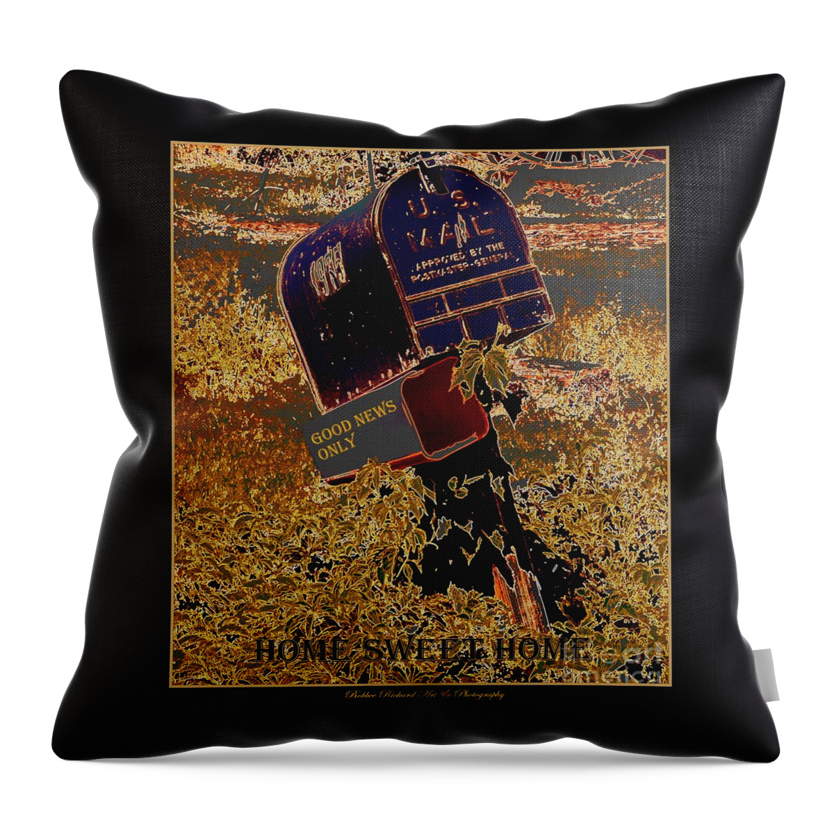 Acrylic Prints Throw Pillow featuring the photograph Home Sweet Home by Bobbee Rickard