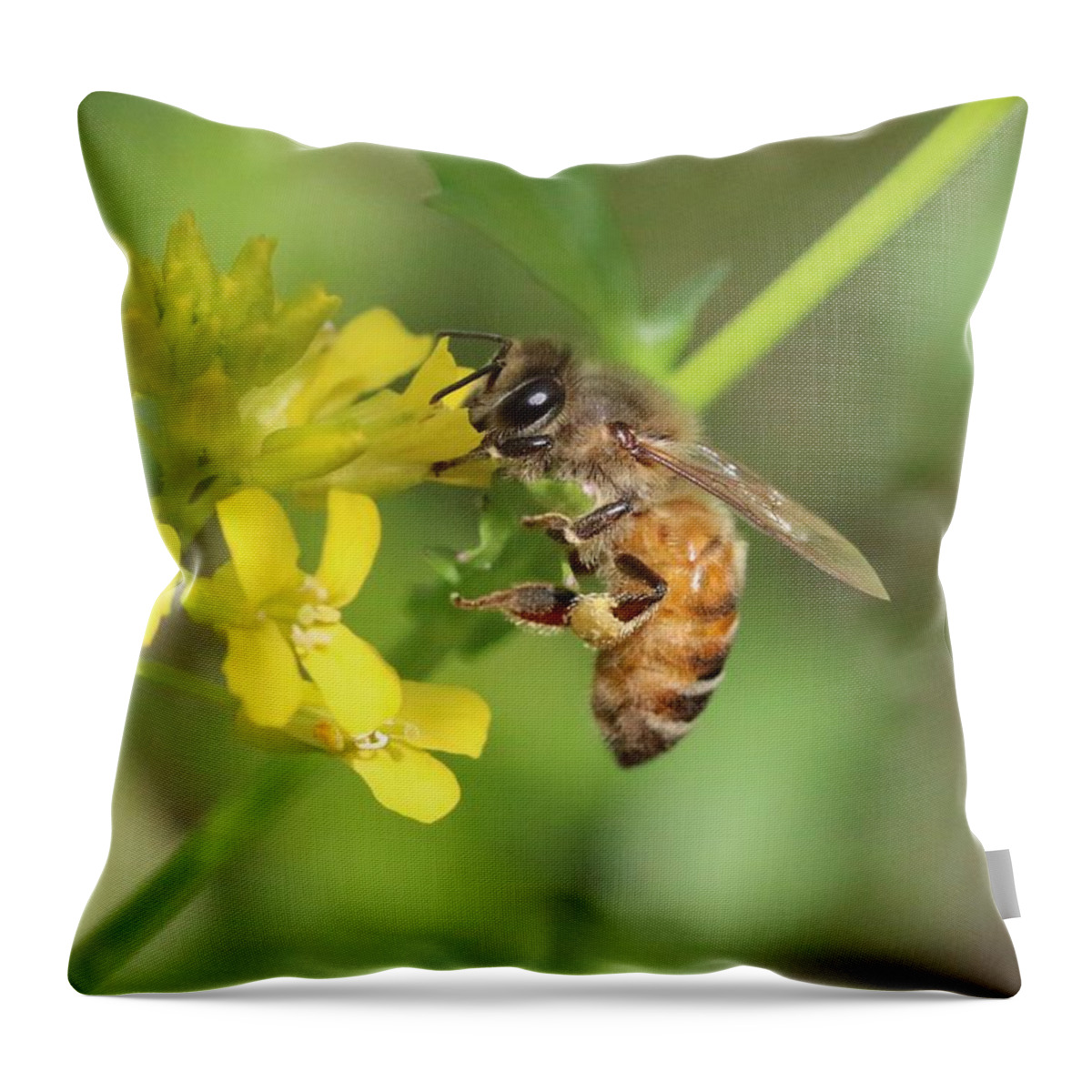 Honeybee Throw Pillow featuring the photograph Honey Bee on Mustard by Lucinda VanVleck