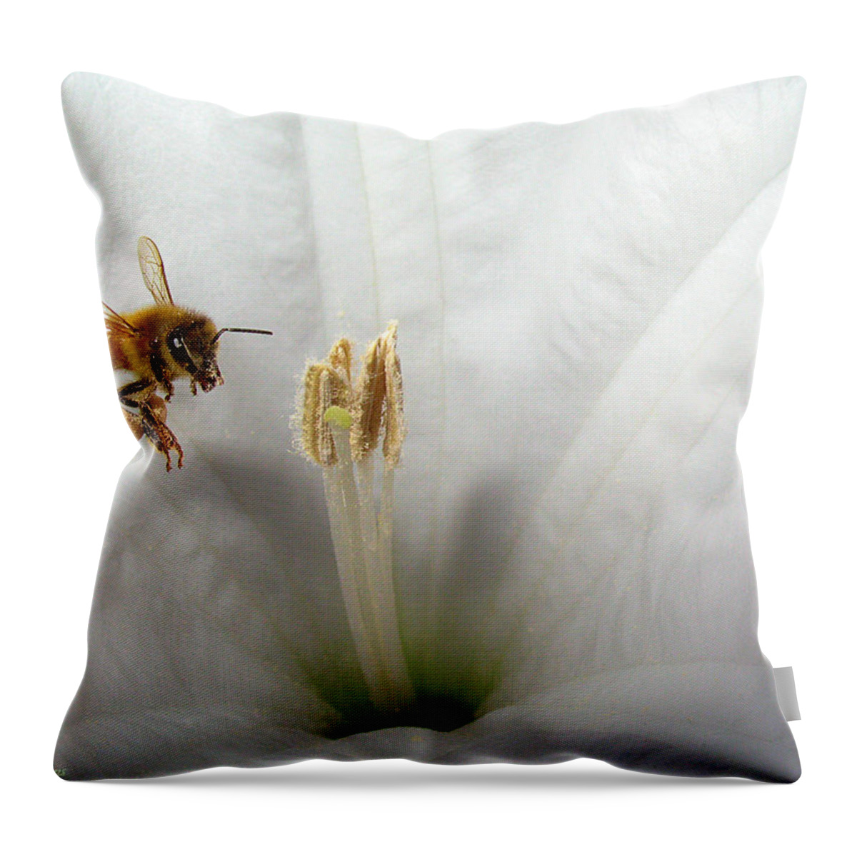 Bee Throw Pillow featuring the photograph Honey Bee Up Close And Personal by Joyce Dickens